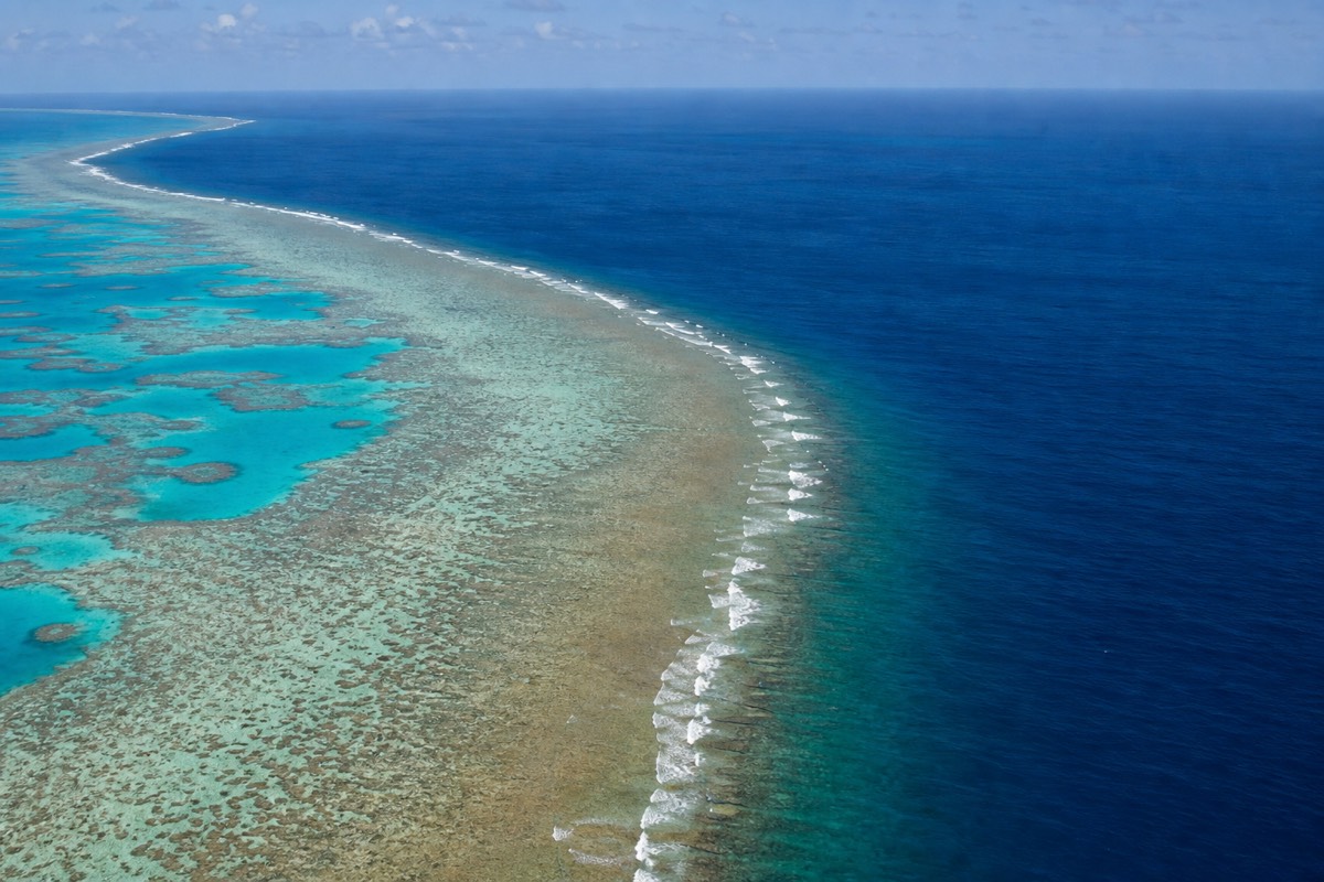 An outer ribbon reef near Agincourt Reef