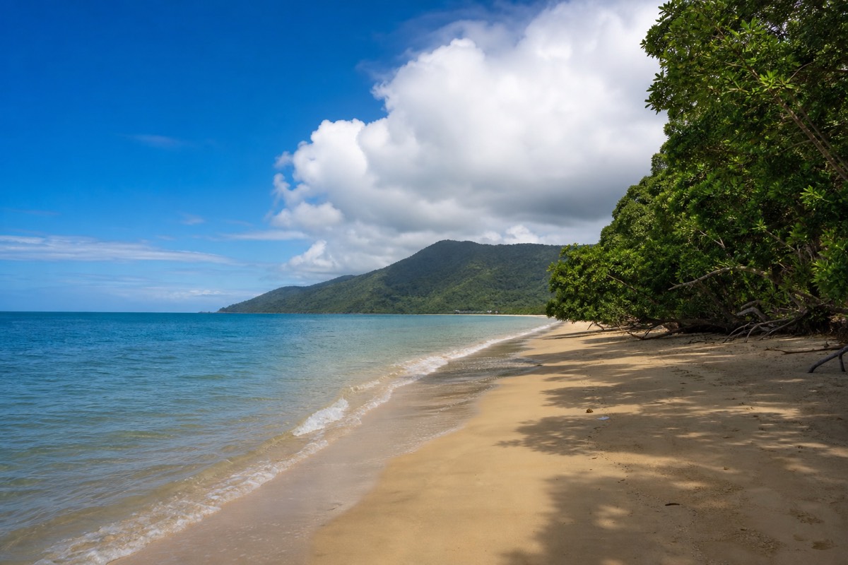 Where the Daintree rainforest meets the reef at Cape Tribulation