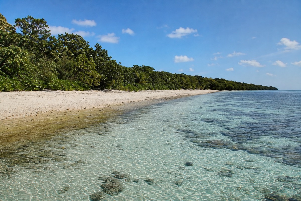 The beach and fringing reef at Green Island