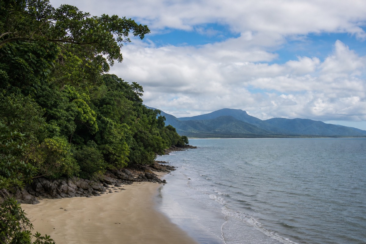 Where the Daintree rainforest meets the reef at Cape Tribulation