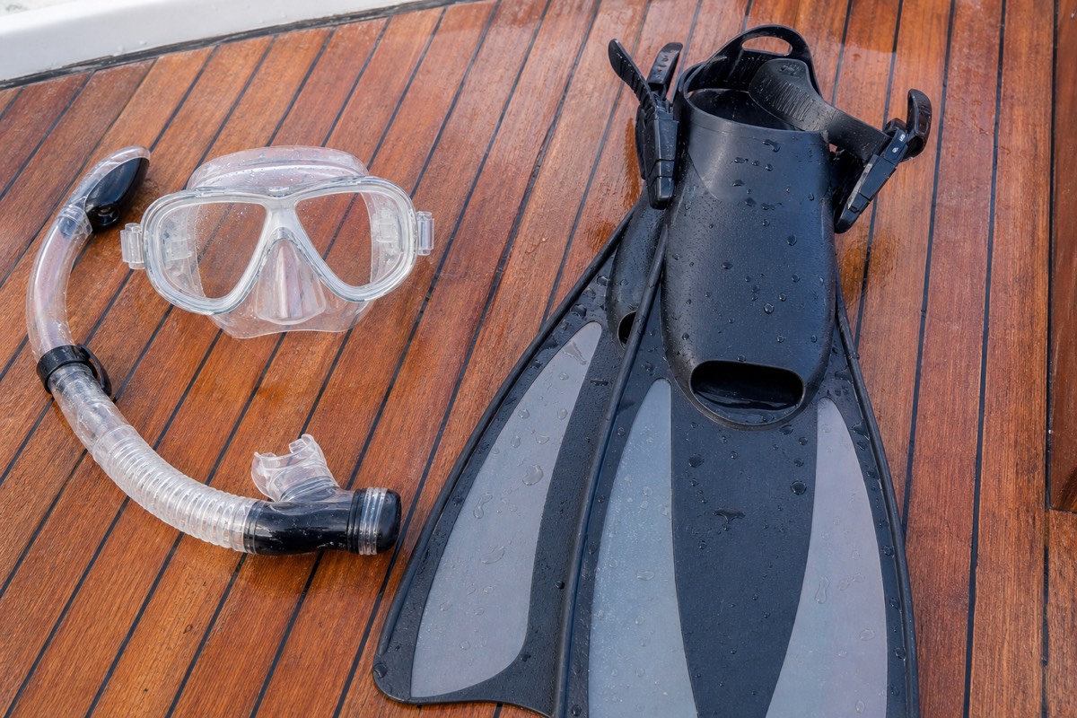 Flatlay of snorkel mask, fins and stinger suit laid out before a Great Barrier Reef tour