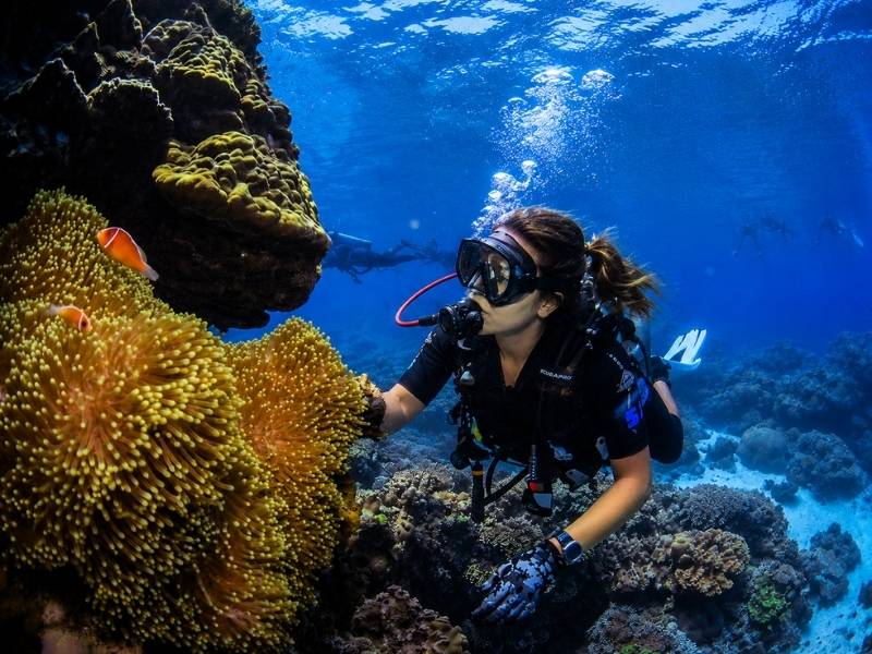 2-Day Great Barrier Reef Snorkeling Experience – Twin Share