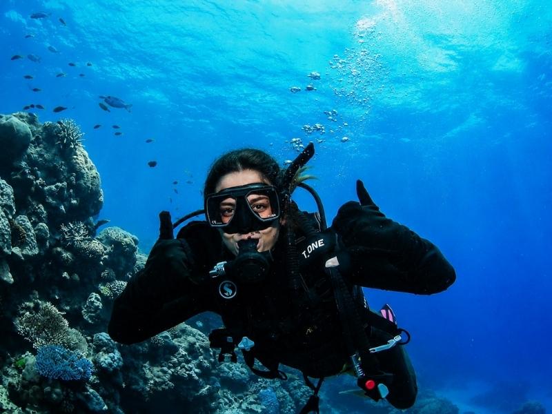 From Cairns: Great Barrier Reef Full-Day Adventure Tour