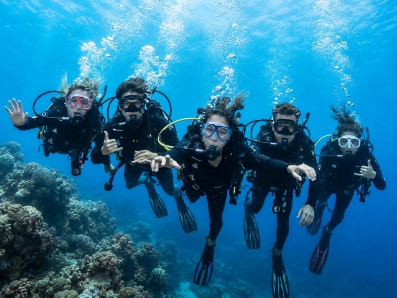 Great Barrier Reef Snorkeling Tours